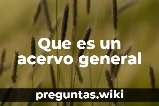 Que es un acervo general