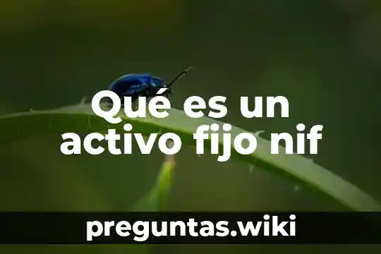Qué es un activo fijo nif