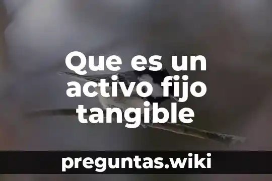 Que es un activo fijo tangible