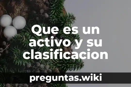Que es un activo y su clasificacion