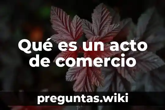 Qué es un acto de comercio