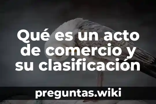 Qué es un acto de comercio y su clasificación