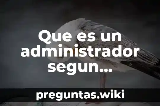 Que es un administrador segun chiavenato