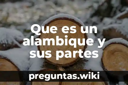Que es un alambique y sus partes