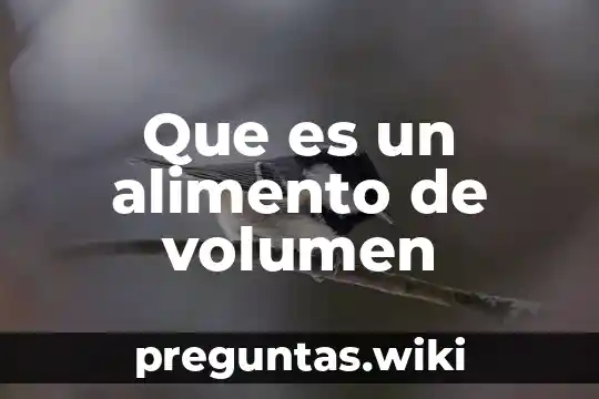 Que es un alimento de volumen