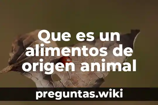 Que es un alimentos de origen animal