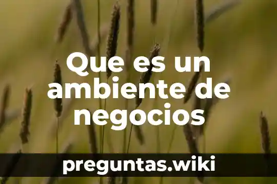 Que es un ambiente de negocios