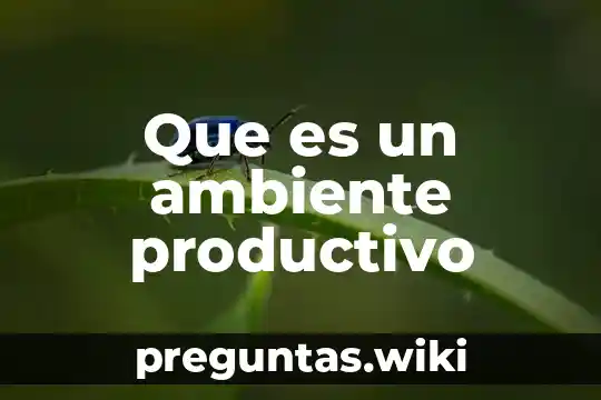 Que es un ambiente productivo