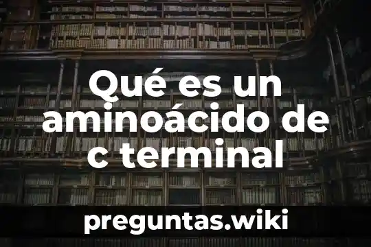 Qué es un aminoácido de c terminal