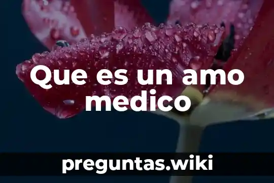 Que es un amo medico