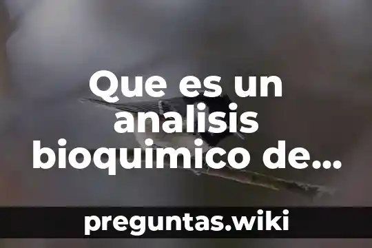 Que es un analisis bioquimico de los alimentos
