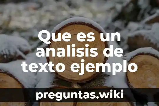 Que es un analisis de texto ejemplo