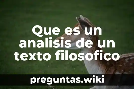 Que es un analisis de un texto filosofico