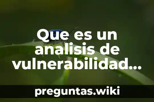 Que es un analisis de vulnerabilidad yahoo
