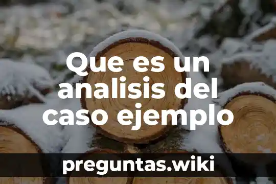Que es un analisis del caso ejemplo