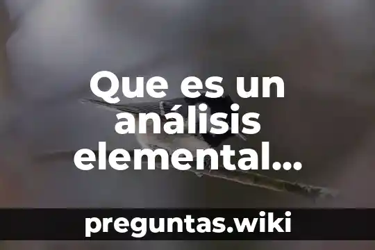 Que es un análisis elemental orgánico