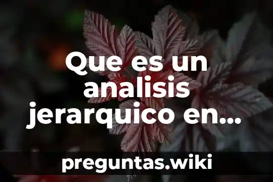 Que es un analisis jerarquico en estadisicas