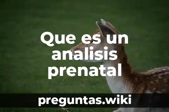 Que es un analisis prenatal