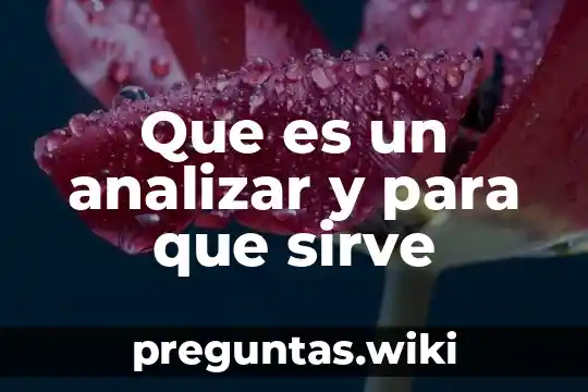 Que es un analizar y para que sirve
