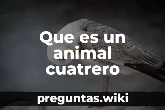 Que es un animal cuatrero