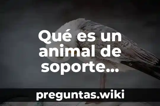 Qué es un animal de soporte emocional