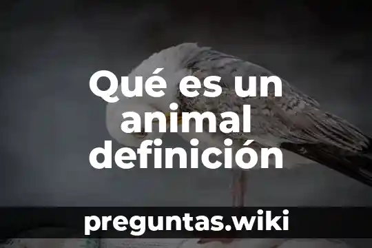 Qué es un animal definición