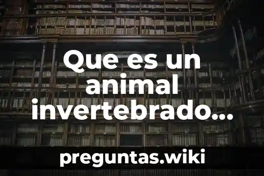 Que es un animal invertebrado definicion