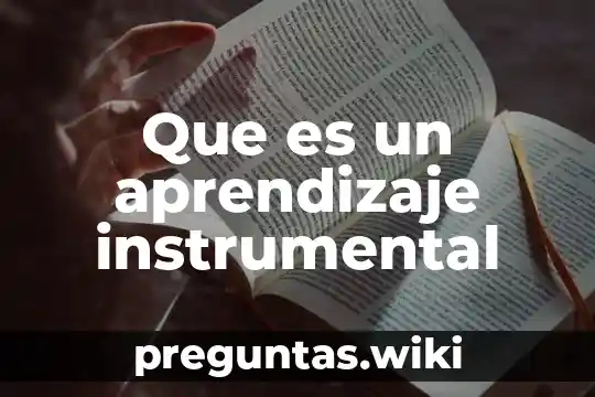 Que es un aprendizaje instrumental