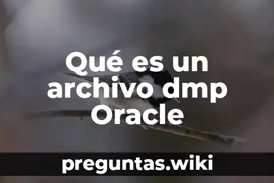 Qué es un archivo dmp Oracle
