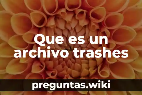 Que es un archivo trashes