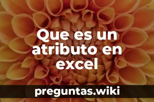Que es un atributo en excel
