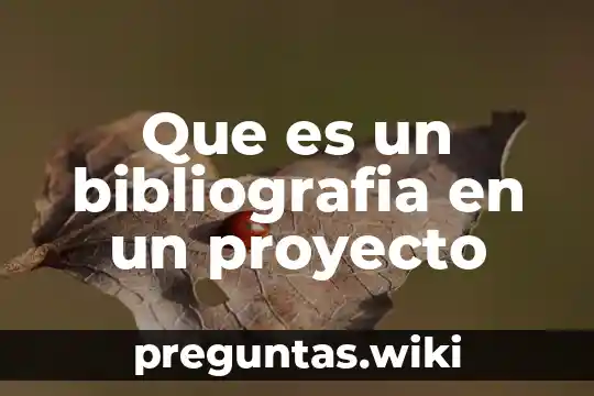 Que es un bibliografia en un proyecto
