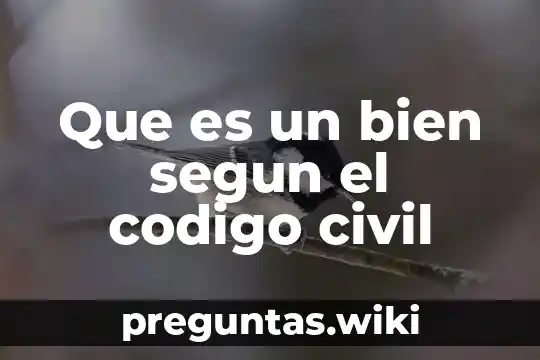 Que es un bien segun el codigo civil
