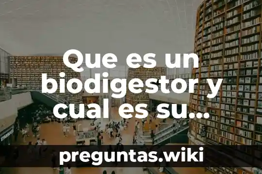 Que es un biodigestor y cual es su funcion