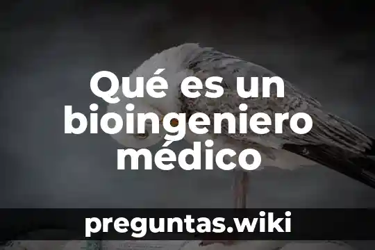 Qué es un bioingeniero médico