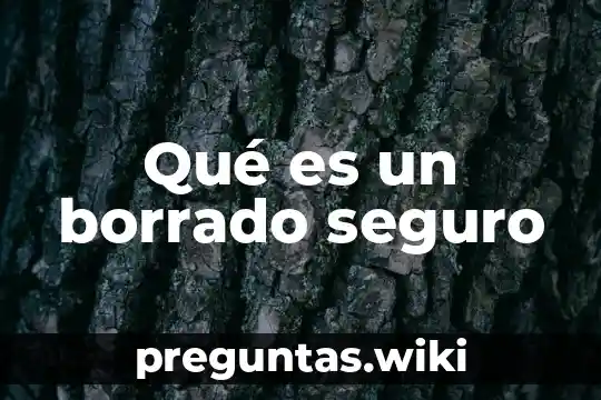 Qué es un borrado seguro