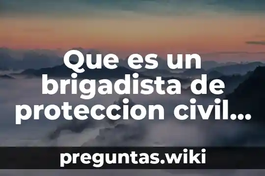Que es un brigadista de proteccion civil clasificacion y funciones