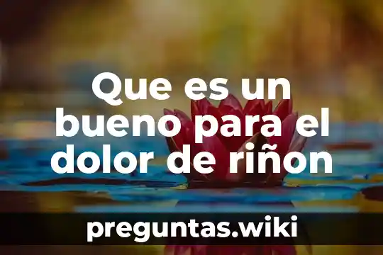 Que es un bueno para el dolor de riñon