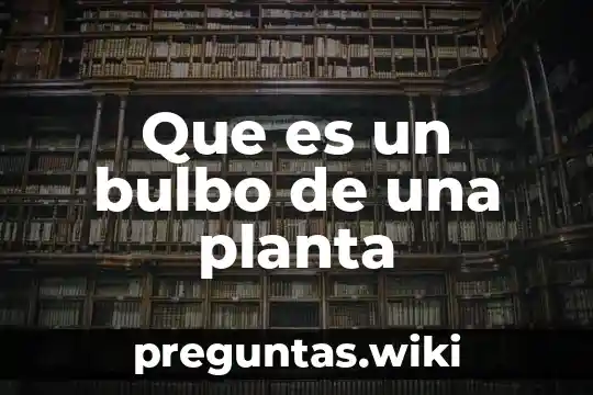 Que es un bulbo de una planta