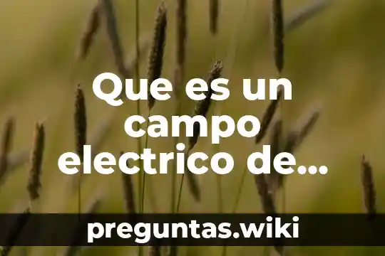 Que es un campo electrico de una carga