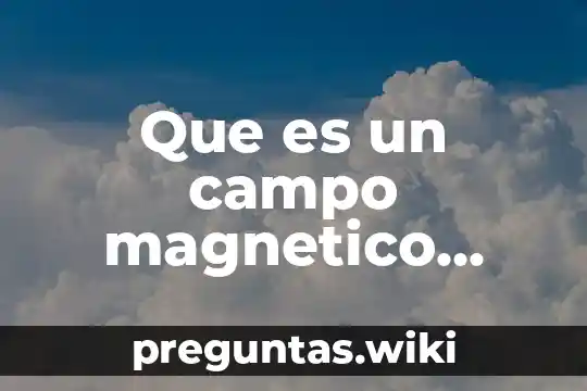 Que es un campo magnetico ejemplos
