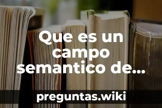 Que es un campo semantico de universidad