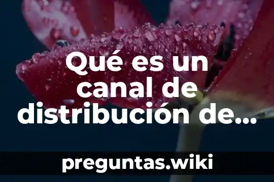 Qué es un canal de distribución de agua