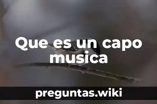 Que es un capo musica
