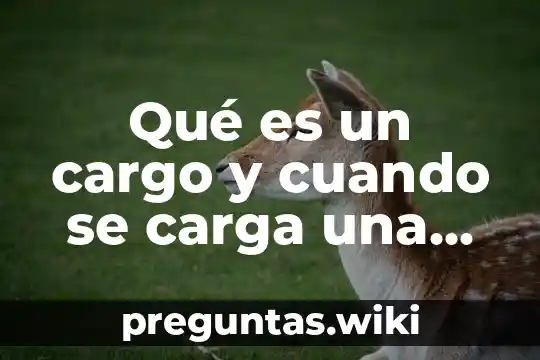 Qué es un cargo y cuando se carga una cuenta