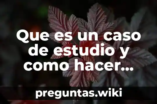 Que es un caso de estudio y como hacer uno