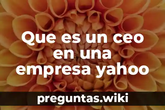 Que es un ceo en una empresa yahoo