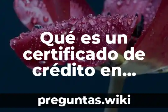 Qué es un certificado de crédito en México