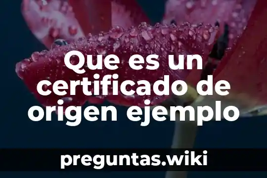 Que es un certificado de origen ejemplo