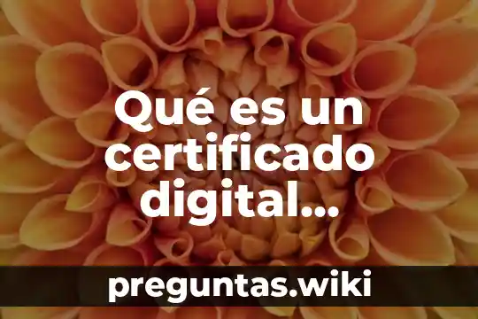 Qué es un certificado digital informática